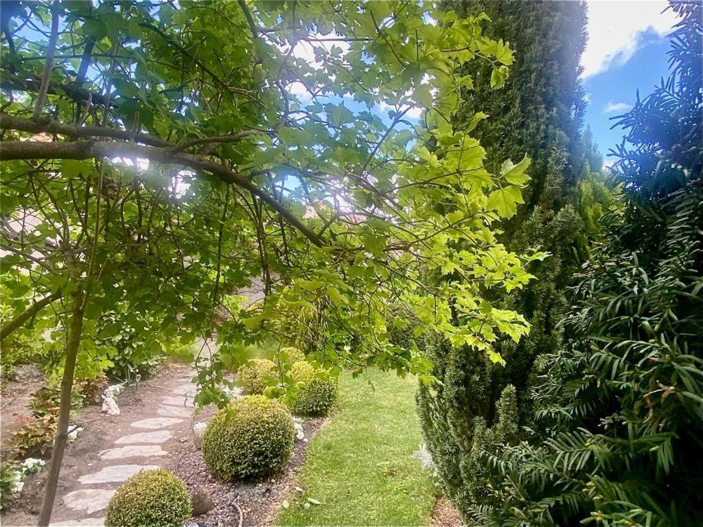 Вилла Casa Jardin El Arco Кока Экстерьер фото